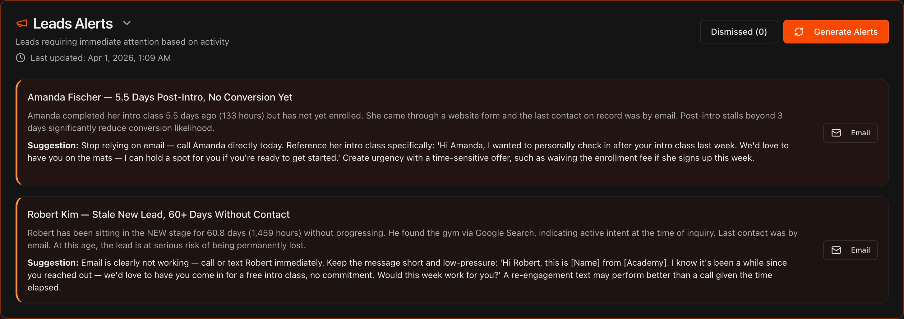 Overview page with the Leads Alerts section expanded showing active alerts