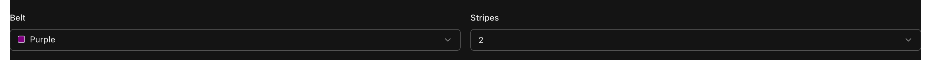 Student Details tab showing Belt and Stripes dropdowns