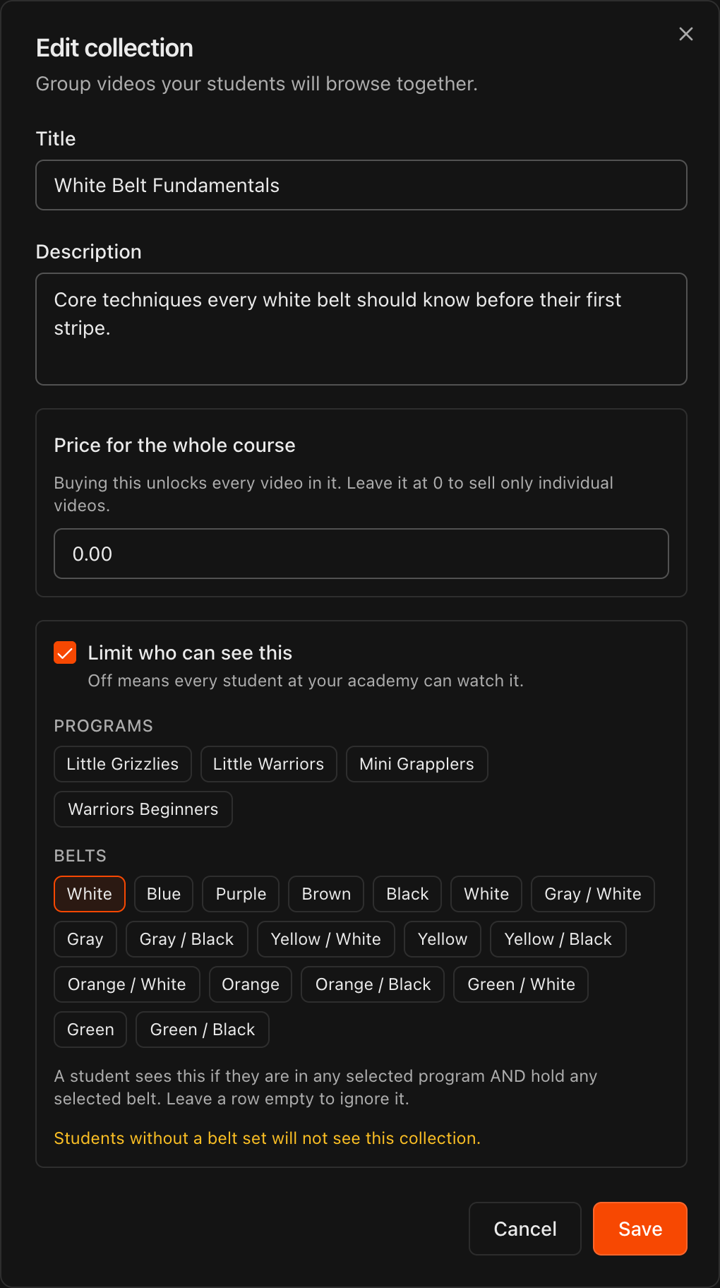 Video targeting controls with Programs and Belts selections