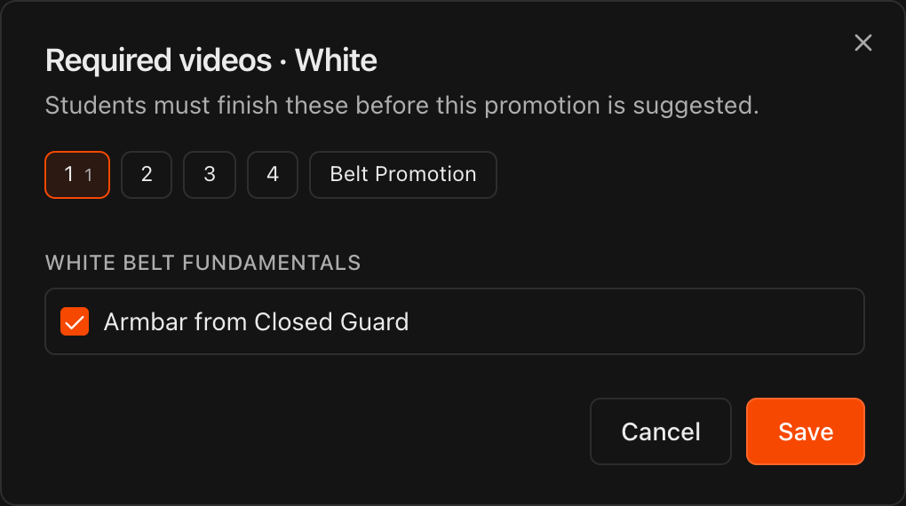 Required videos dialog with stripe and Belt Promotion tabs